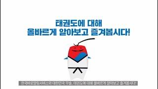 한국의 무술, 태권도 - 한국바로알림서비스