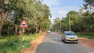 Nallamala Forest | Srisailam Route | Srisailam Highway | Srisailam Ghat Road | Anup Archives