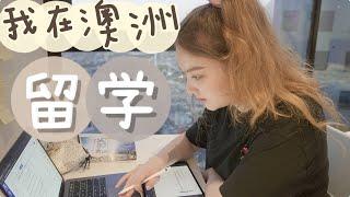 我在澳洲留学｜混血小姐姐假“回国”真“留学” ｜ 墨尔本大学生物医学系