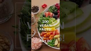 100 Vegan Facts #20/100 #FactOasis - Check the Comments for Vegan Recipes! #plantbased #veganfacts