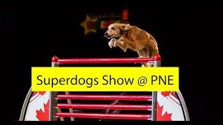 Superdogs show at PNE Fair, Vancouver