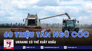 Ukraine có thể xuất khẩu tối đa 60 triệu tấn ngũ cốc trong 9 tháng tới - VNEWS