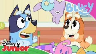 Loving Family Moments |  Bluey | Disney Junior Africa