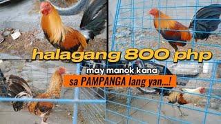 p#30 Auction Angeles city pampanga 800 php may manok kana panabong.. #bossperry#Bocaue #viral