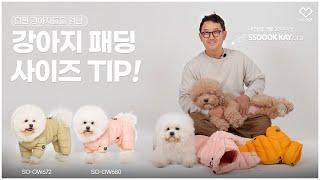 강아지 패딩 사이즈 고르는 TIP! 쏘오옥 애견패딩올인원ㅣ(愛)애견용품교실