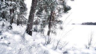 Wintersun - Loneliness (Winter) Official Lyric Video