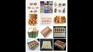 automatic egg tray carton production line，automatic egg tray equipment，automatic egg tray machine