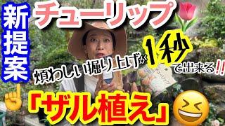 【新提案】チューリップの「ザル植え」って何？！/ 大変な球根の掘り上げが一瞬で出来る植え方/ 5つのメリットを聞けば、ザル植えしたくなる‼️/ お家にある色んなザルが大活躍【ガーデニング】