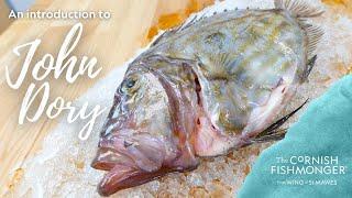 An introduction to John Dory