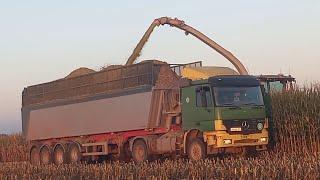 Gut Hohen Luckow Mais häckseln.MB Actros-XL Kelberg Quatro auflieger,John deere 9520R,Jaguar 970