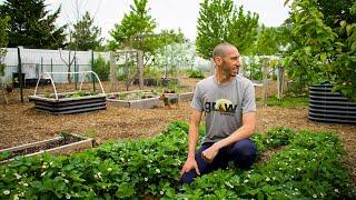 New Jersey Backyard Garden Tour