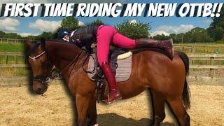 FIRST RIDE ON MY NEW OTT-  (Thoroughbred Horses) OTTB Series