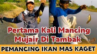 " KAGET " Pertama Kalinya Pemancing Ikan Mas Mencoba Mancing Mujair di Tambak Pondok Dua .