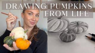 How To Draw a Pumpkin From Life | Pumpkin Picking - Drawing Tutorial