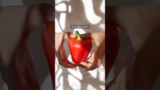 파인 다이닝 파프리카 손질법 #shorts