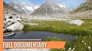 Aletsch Glacier: From Tolkien's Fantasy to Climate Reality | FULL DOCUMENTARY