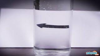 Refraction of Light in Water - Cool Science Experiment for Kids |  Kids Education by Mocomi