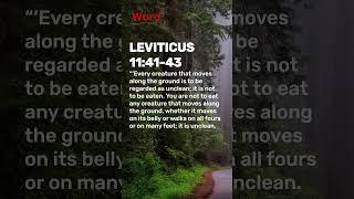 Leviticus 11:41-43 The Path to Purity and Holiness Unveiled | A Journey Through the Bible #leviticus