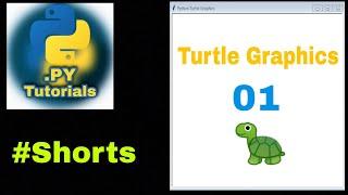 Python Turtle Graphics awesome code | DotCode Tutorials | 1