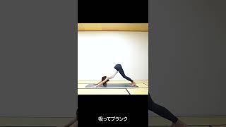 【ヨガ ウォームアップ】新型 プランクからダウンドッグまでの流れるような繋ぎ