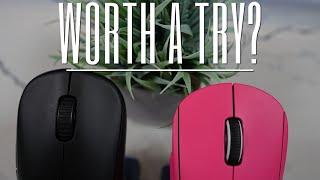 Worth a try? Two Underhyped Big Brand Mice