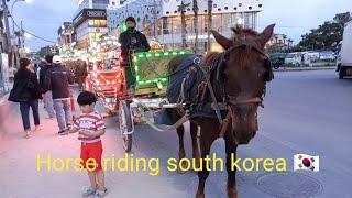 Jejudo island south korea ||south korea horse riding