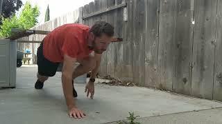 I made an obstacle course in my back yard - I hate working out