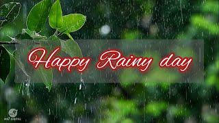 Rain in Village Punjab Pakistan | Happy Rainy day | Pakistan Village Life | rainy weather ️