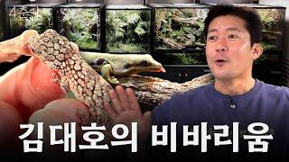 ※내셔널지오그래픽 아님... 파브르 김대호의 비바리움 보수공사 / 4춘기 EP.48