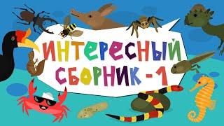 Капитан Краб: "Интересный сборник №1" Музыкальные мультики о животных.