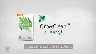 Haifa GrowClean™ fertilizante de polifosfato.