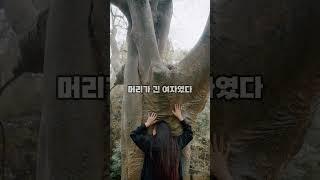 무서운이야기영상 5탄 #무서운이야기 #폐가 #산속#공포#이야기