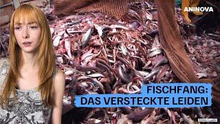 Fischfang: Das versteckte Leiden 