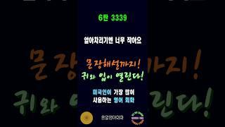 3339번 #미국인이가장많이쓰는영어 #쉬운영어회화 #생활영어회화 #총알영어회화 #여행영어회화 #백번듣고백번말하기 #영어회화문장해설 #영어회화문법해설