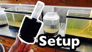 Aquaneat Nano Sponge Filter Setup