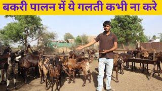 23 साल के लड़के का सफल बकरी फार्म II #goat #goatfarming