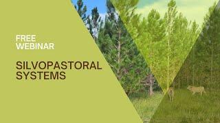 Trees and Cattle: Silvopasture Webinar