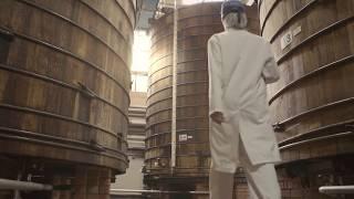 The Secret to How Sarson’s Vinegar is Made: Craft Brewed to Perfection - Sarson's