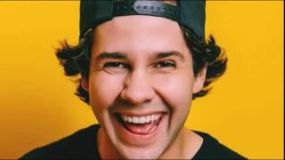 Liza Koshy and David Dobrik Grocery Store Pun part 2