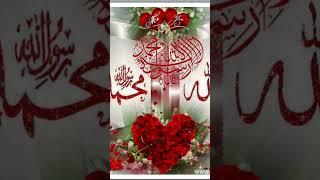 Md Shahid Khan 777
