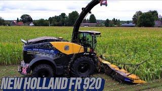 New Holland FR 920 Mais Häckseln 2024 Corn Harvest 