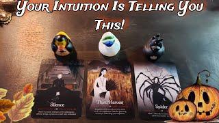  Your Intuition Is Telling You THIS!  Pick A Card Reading