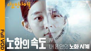 현대 과학이 밝혀낸 ‘노화 속도를 늦추는 법’ ㅣ KBS 다큐 인사이트 - 노화의 속도 1부 내 몸 안의 노화 시계 25.04.17 방송