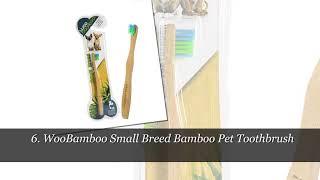 Top 10 Best Toothbrushes for Dogs