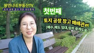 왕언니네 부동산 TV 출발!~구독.좋아요.알람설정 부탁드립니다