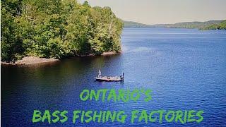 World Class Bass in Northern Ontario- Road Trip peek