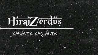 HiraiZerdüş  |  Karadır kaşların