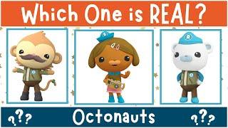 Can You Guess The REAL Octonauts Character?