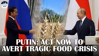 Indonesia: Western sanctions on Russia should not threat global food or fertilizer supplies