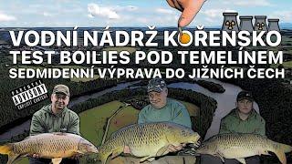 TEST BOILIES - SEDM DNŮ NA KOŘENSKU - INFERNO NA PŘEHRADĚ POD TEMELÍNEM - JIŽNÍ ČECHY - CARPFISHING